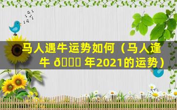 马人遇牛运势如何（马人逢牛 🐈 年2021的运势）